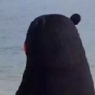 Ƶ